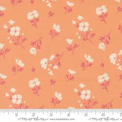 Astoria in Peach