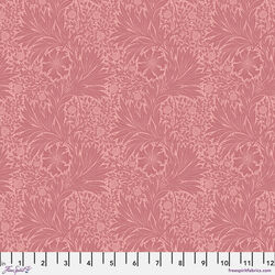Marigold in Rose