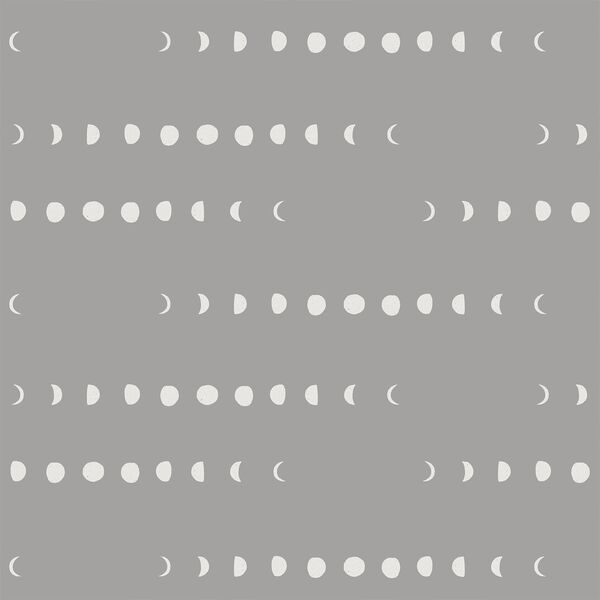 Moon Phases in Lunar