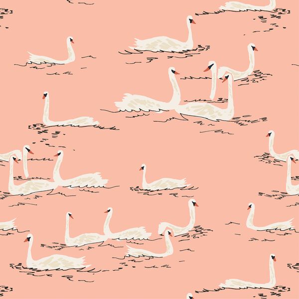 Swan