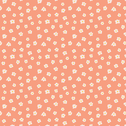 Daisy in Coral