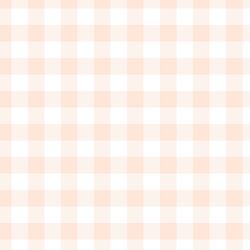 Gingham in Light Pink