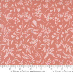 Fern Trails in Rose