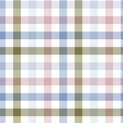 Gingham in Leiden