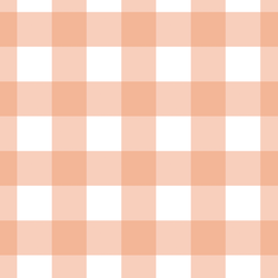 Large Gingham in Deep Peach