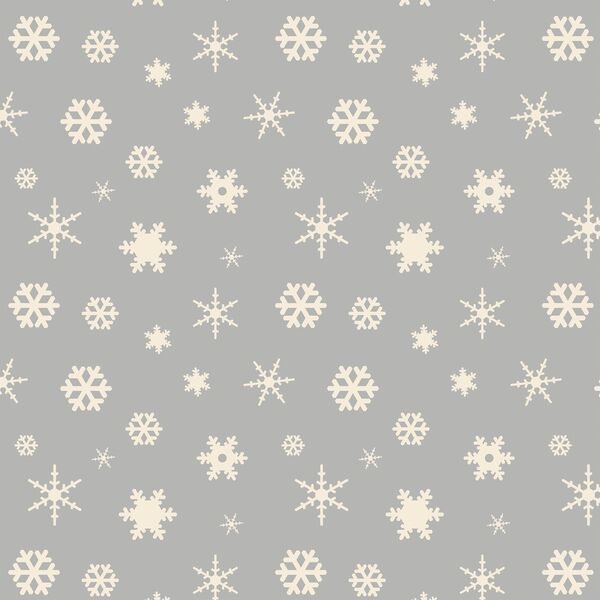 Winter Snowfall in Gray