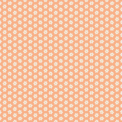 Little Spring Daisies in Carrot