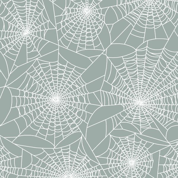 Tangled Web in Eucalyptus