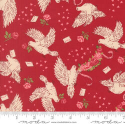 Doves True Love in Rose