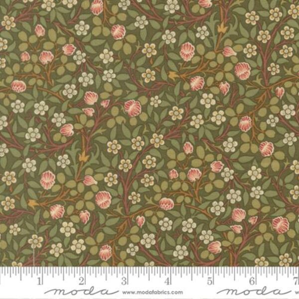 Clover in Sage