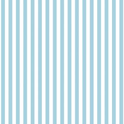 Dress Stripe in Robins Egg