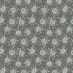 Sunshine in Slate