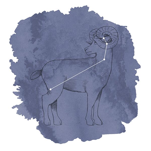 Aries Panel in Indigo