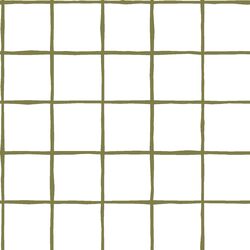 Windowpane in Jungle on White