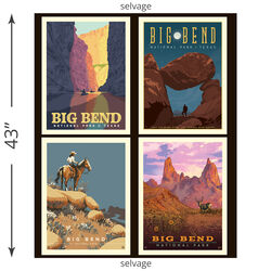 Big Bend Pillow Panel (2024)