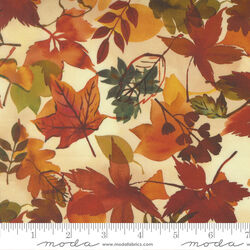 Fall Leaves in Autumn