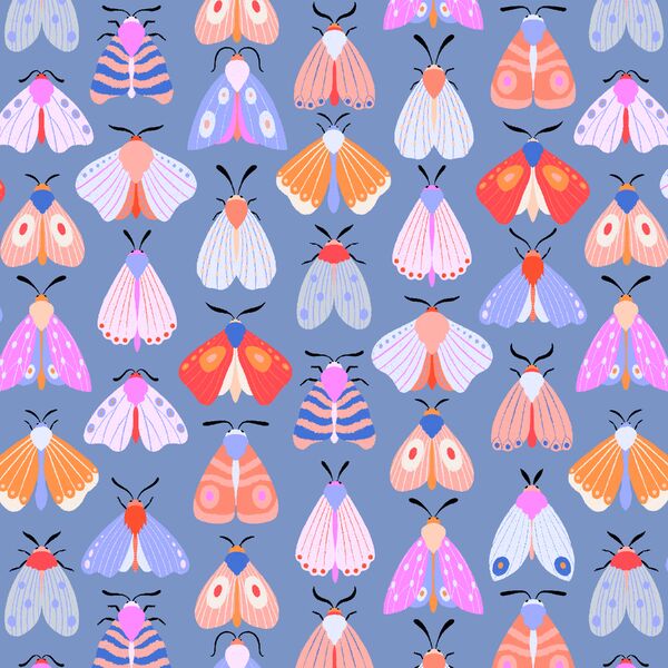 Moth Lovers in Periwinkle