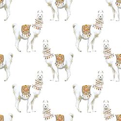 Llamas in White