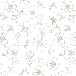 Sweet Peonies Sketch in Wild Sage