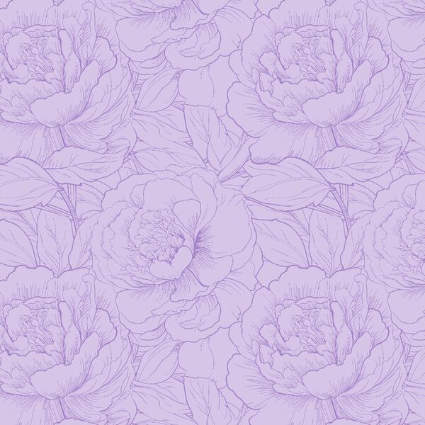 Peony Sketch in Lilac