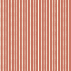 Little Stripe in Candy Cane
