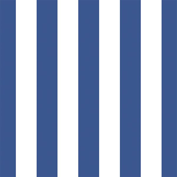 Play Stripe in Blue Jay