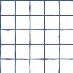 Windowpane in Midnight on White