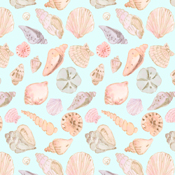 Seashells in Pacific