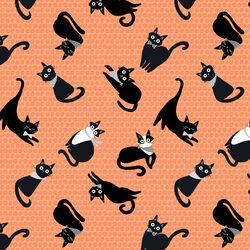 Kitties in Coral
