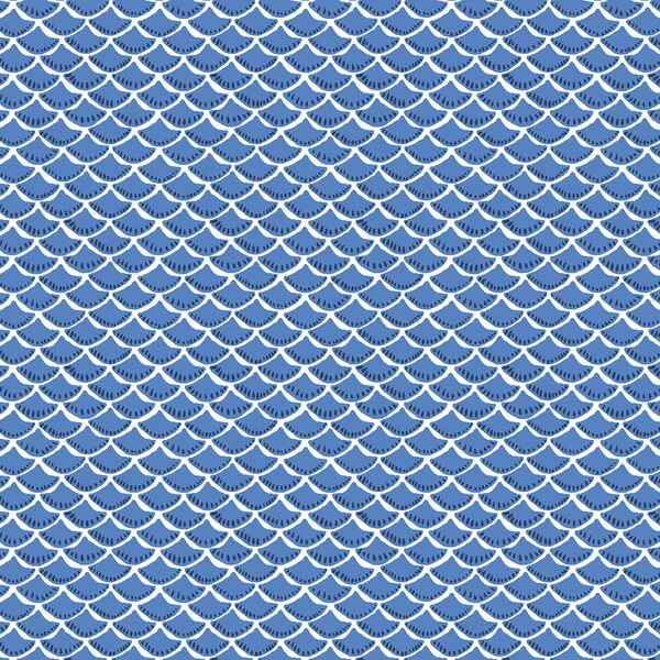 Scallop in Nautical