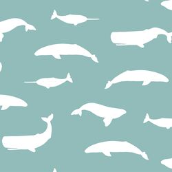 Whale Silhouette in Pool