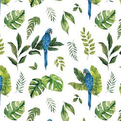 Jungle Macaw in White