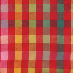 Small Plaid in Ruby Rainbow