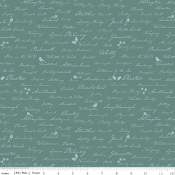 Town Names in Teal