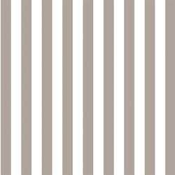 Candy Stripe in Taupe
