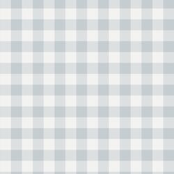 Gingham in Powder Blue