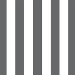 Play Stripe in Charcoal