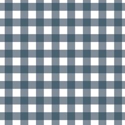 Gingham in In the Navy