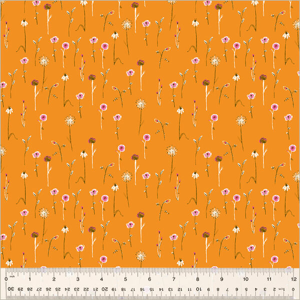 Wildflowers in Orange