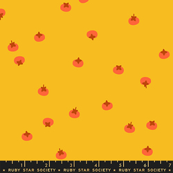Persimmons in Dandelion
