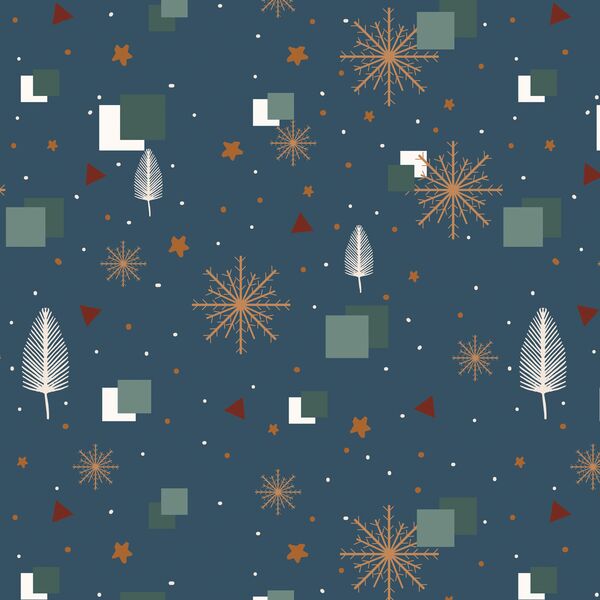 A Winter Night in Slate