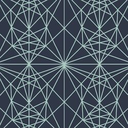 Winter Fractal in Eclipse