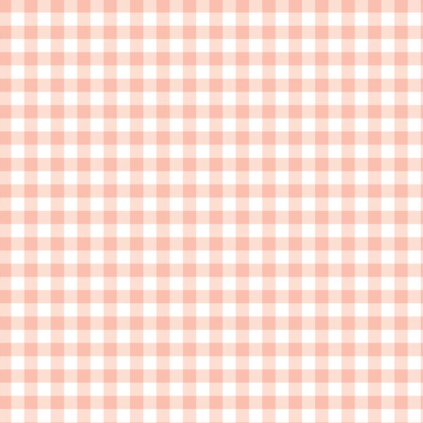 Little Spring Gingham in Pink