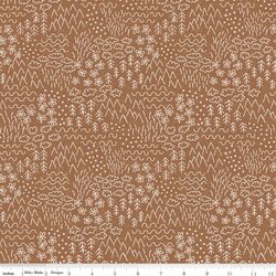 Sketch in Brown