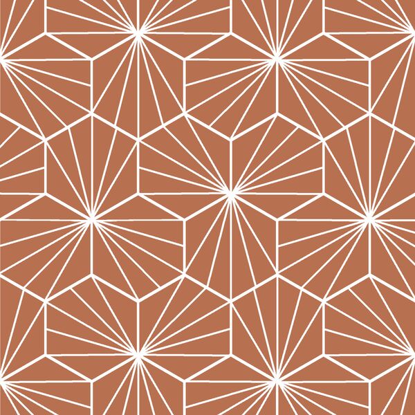 Radiate in Terracotta