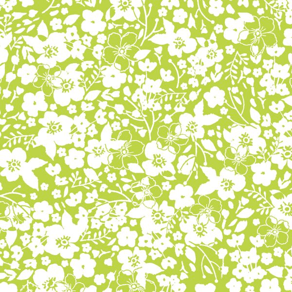 Forget Me Not in Lime
