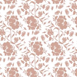 Phlox Silhouette in Rose