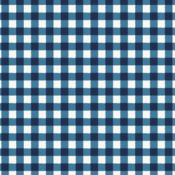 Gingham in Blue