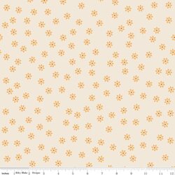 Daisies in Daisy