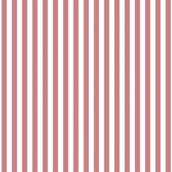 Dress Stripe in Berry